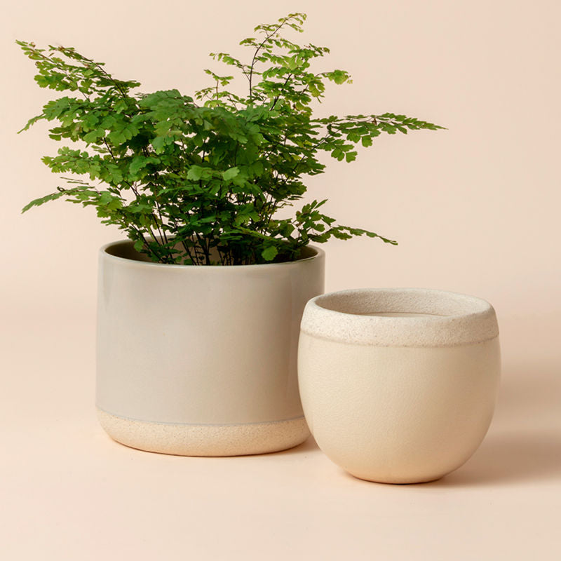 A full view of the lush grey and beige pots set. The tall cylinder planter is potted with plants, next to the round pots.