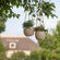 A set of two lush light grey pots are hung on a tree with small plants in it in a garden.