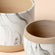 A zoomed picture of the lush white and marble pots, comparing two different sizes.