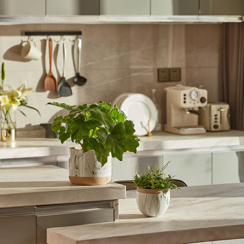 Two of the lush white and marble pots are placed in a kitchen setting, and both of the pots contain green plants