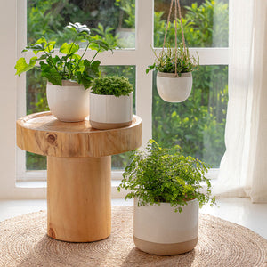 The wall-hanging white planter is displayed in front of a window, above the wooden coffee table.