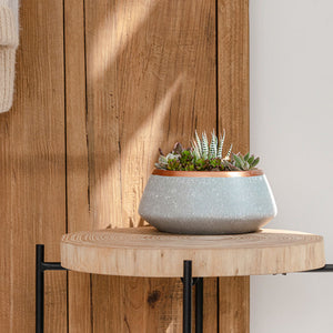 A light gray oval planter is placed on a round coffee table, in front of a wooden background.