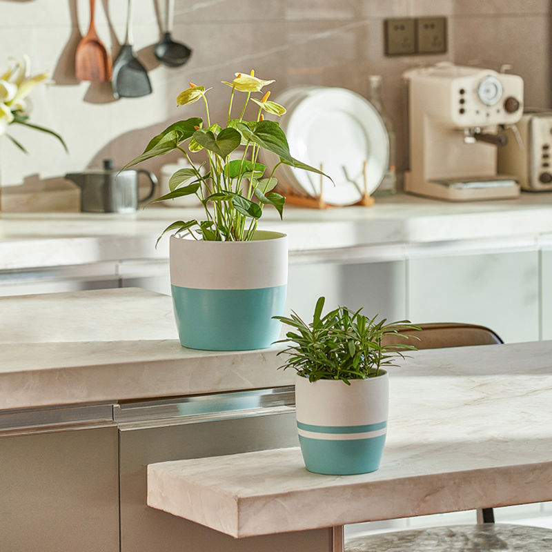 Two martinique planters are both used to display the plants inside, shown in a kitchen setting.