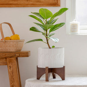 A white ceramic planter with a green plant is placed next to a wooden shelf with a basket of lemons on it.