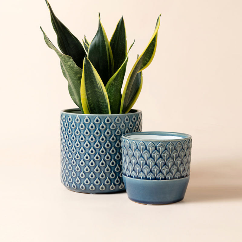 The muticus blue pots set contains two sizes decorated with different patterns design, one of which holds plants. 