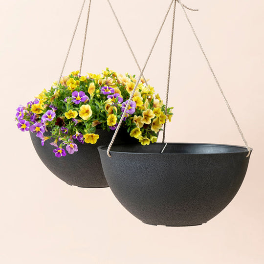 Ceramic or Plastic? How To Choose the Right Plant Pot – LA JOLIE MUSE