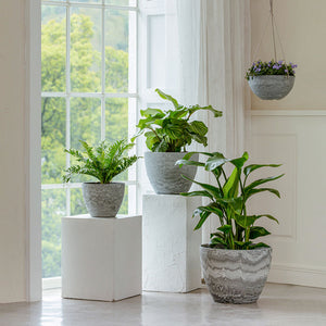 Pots in different sizes are displayed in the room. The pot with marble like-pattern is placed on the ground with plants in it.