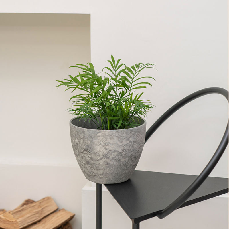 The nova marble pot with green plants in it is placed on a black chair and next to a bunch of wood.