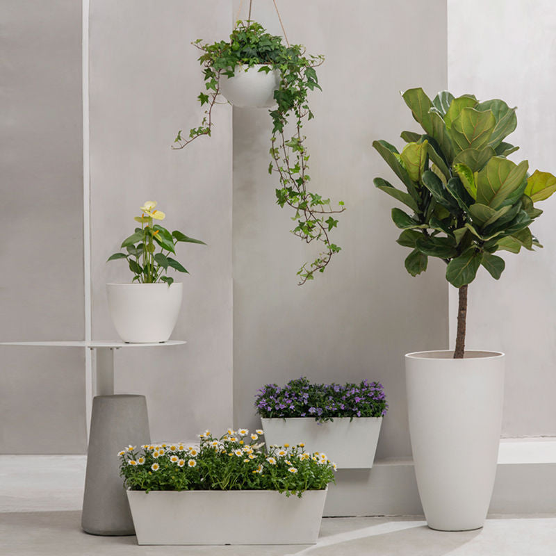 The white matte planters in different sizes are displayed in front of a gray wall, the 8-inch pot is hanging on the wall.