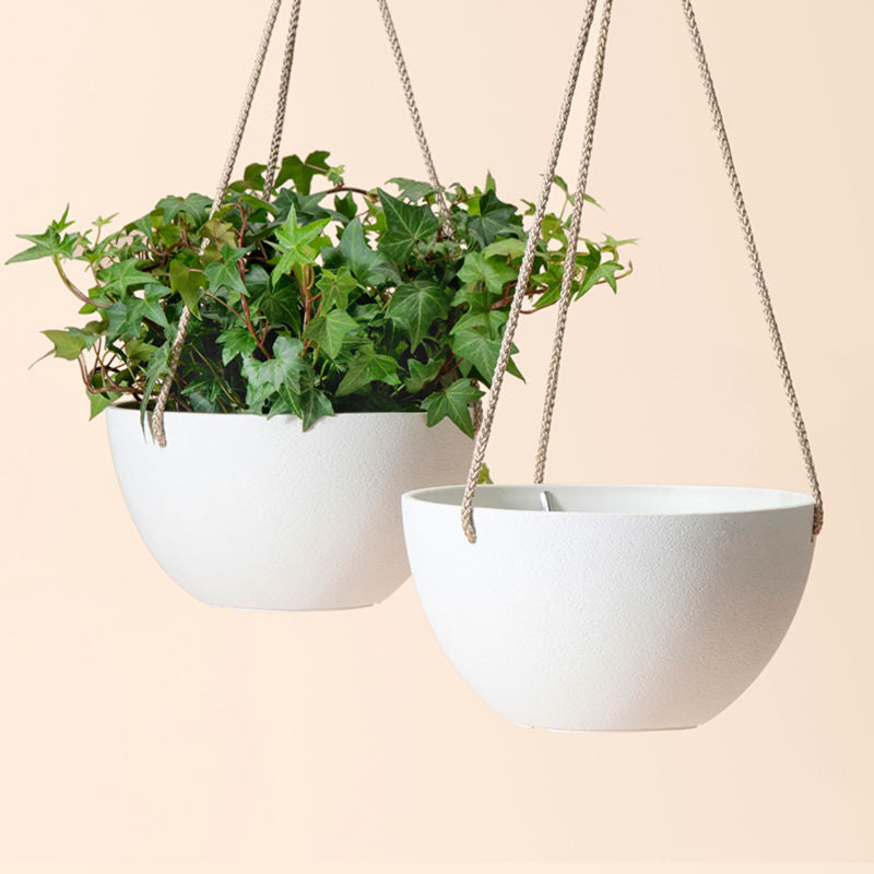 A set of two white hanging planters, one of which holds plants.