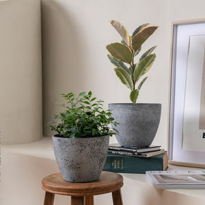 A set of two pots in different sizes with green plants are displayed in a room,  in front of a picture frame.