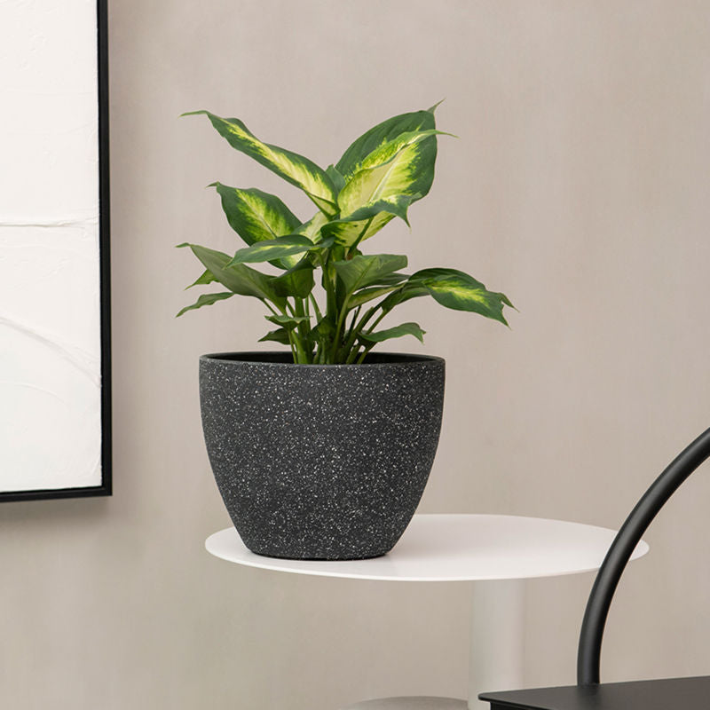 A 8.6-inch speckled black planter is placed on a white standing table with green plant inside.