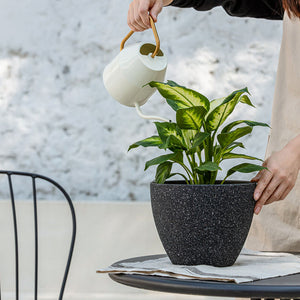 On a black table, a plant is being watered by a white watering can, while contained in a speckled black planter.