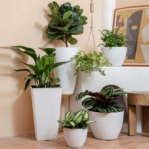 Six white planters in different sizes are displayed in a staggered way. Our speckled white planter is hung on the wall.