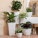 Six white planters in different sizes are displayed in a staggered way. Our speckled white planter is hung on the wall.