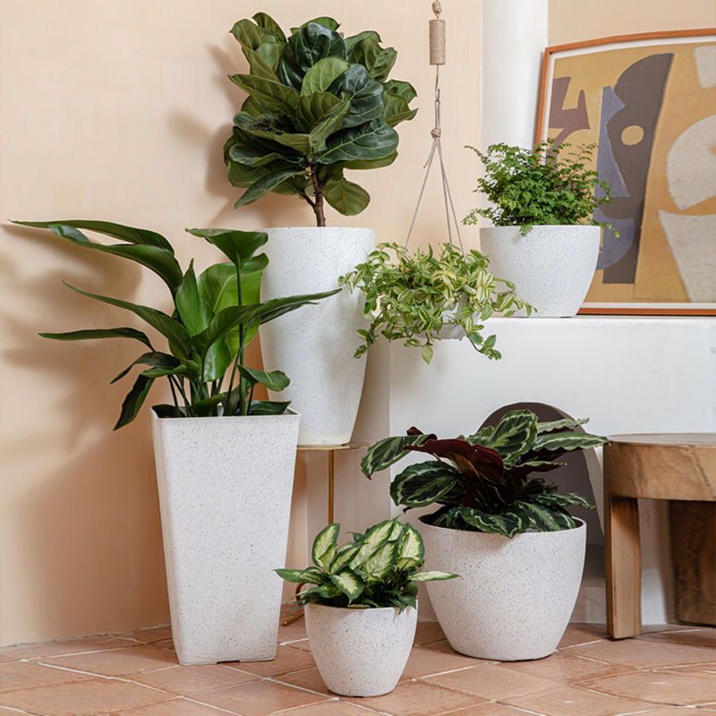 Six white speckled planters are displayed in front of a beige wall and a white stand, including a 8.6-inch pot.