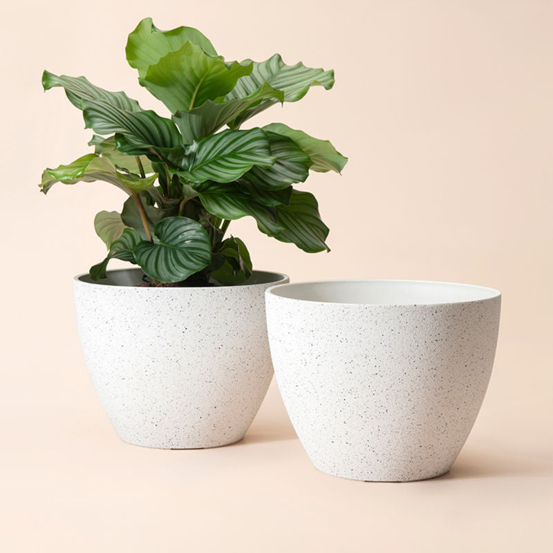 The two white pots in 11.3-inch with speckled decoration are made of recyclable plastic.