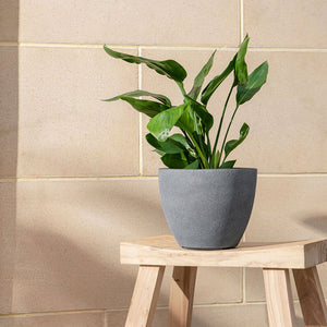 The gray pots with drain holes included, is holding a green plant. The planter is stand on a wooden chair, in front of a tile wall.
