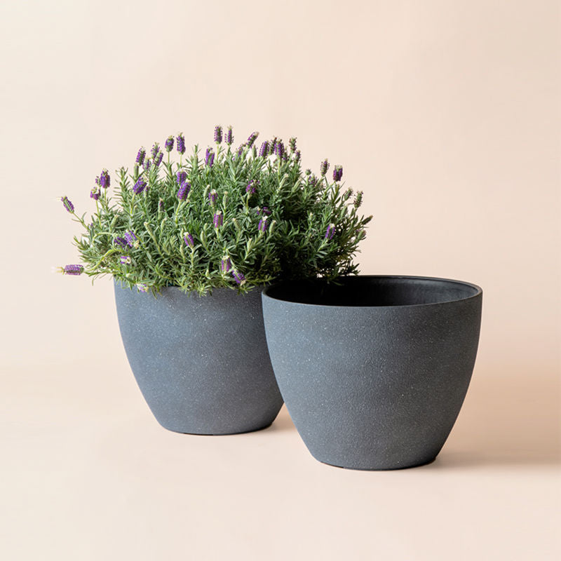 Each set contains two 11.3-inch pots with texture and grainy on them, one of which holds flowers is in the back. 