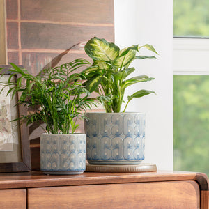 A pair of peacock blue planters are placed on a vintage wooden cabinet, both potted with green plants.