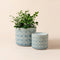 A set of two peacock blue planters with curved shape, made of premium ceramic and fully glazed.