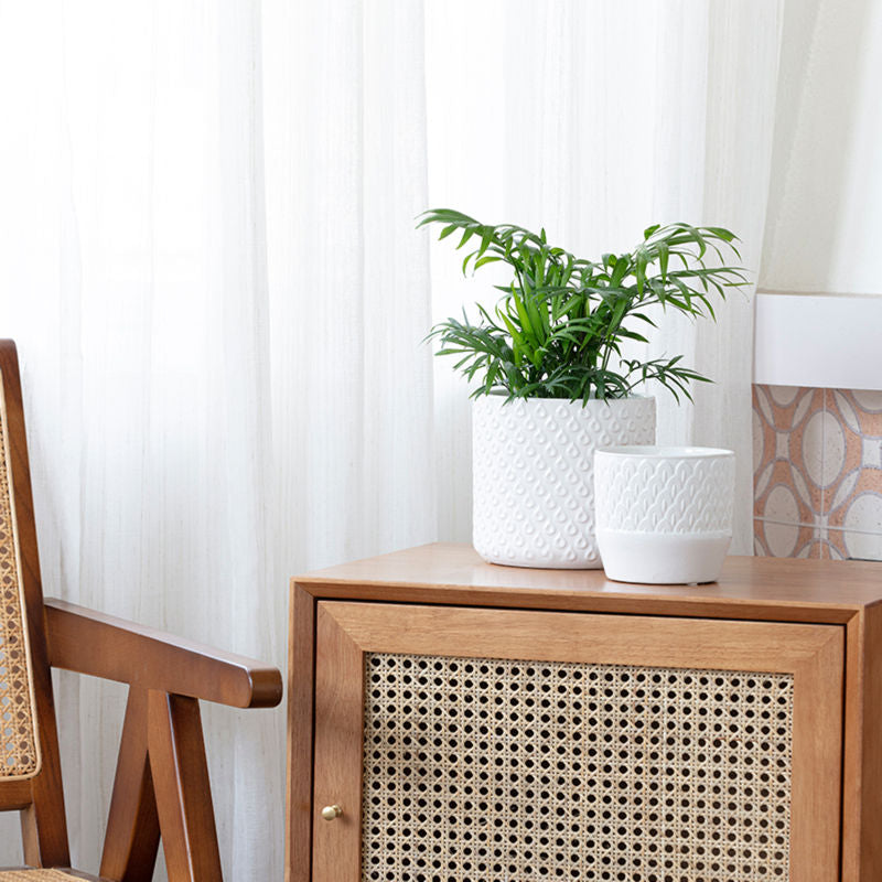 A pair of white ceramic planter are placed on a vintage cabinet against white curtains.