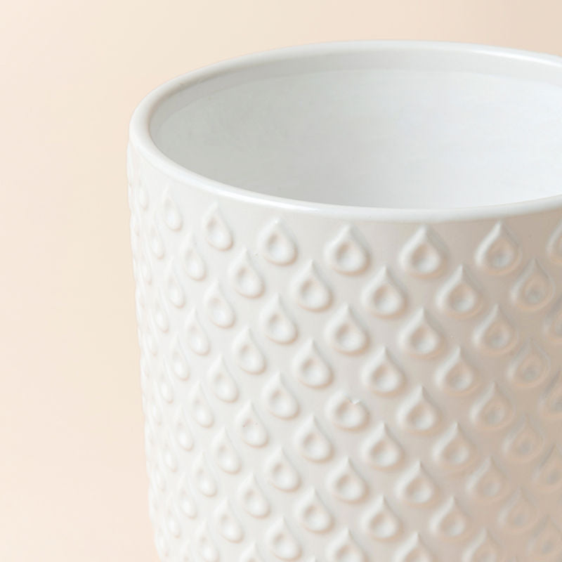 A close view of a white ceramic planter, showing unique eyespot motif on its cylindrical body. 