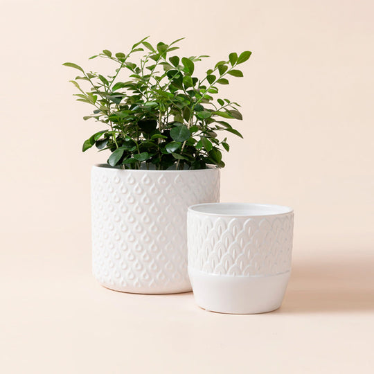 Ceramic Flower Pot Planter - 6.7+5.5 inch Concave Dot Patterned Cylinder Flower Pot with Drain Hole for Indoor, Set of 2, Ivory La Jolie Muse