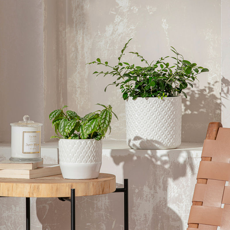 Two white ceramic planters are displayed with books and a candle jar, against a textured wall. 