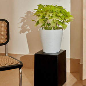 The taper-shaped white planter with plants in it is placed on a black stand, next to a chair.