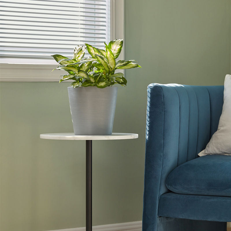 The gray planter with plants in it is placed on a white coffee table, next to a blue sofa.