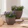 Two rusty planters in different sizes are placed on a large wooden desk, each potted with small purple flowers.