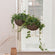 Two black round planters with green plants are hung by durable ropes in front of a shutter.
