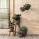 Five black planters in different shapes and sizes are displayed in front of a sand beige wall.
