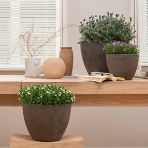 Three rusty planters are displayed against a wooden windowsill with other home ornaments, all holding small flowers.