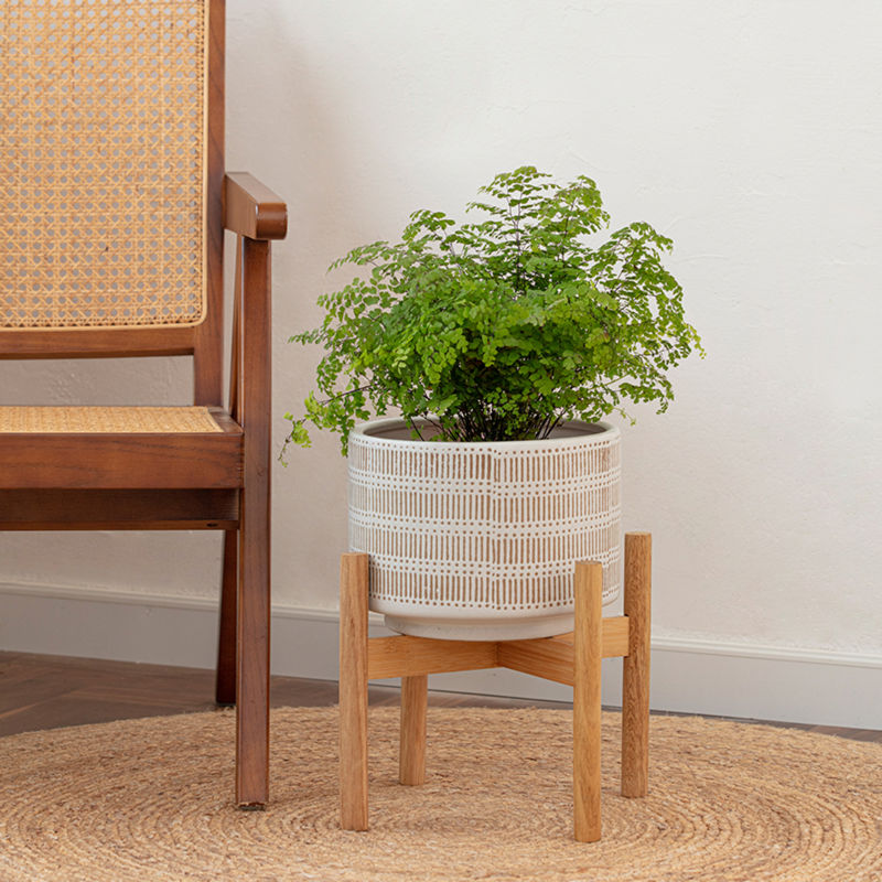 A beige ceramic planter with stand is placed on a round carpet, next to a wooden chair.