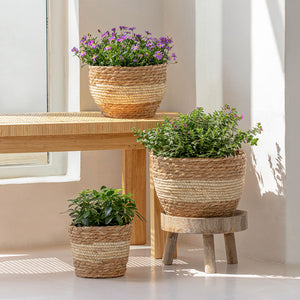 A set of three seagrass planters in beige and brown color are displayed at the corner of a bright room.