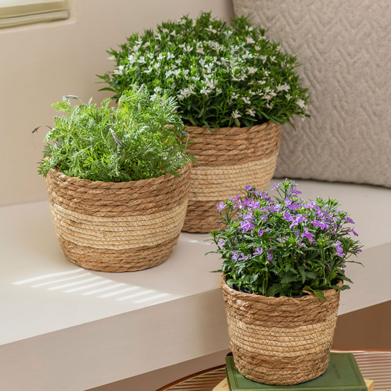 Three seagrass planters are displayed in a staggered position, two on a white platform while the other one on a table.