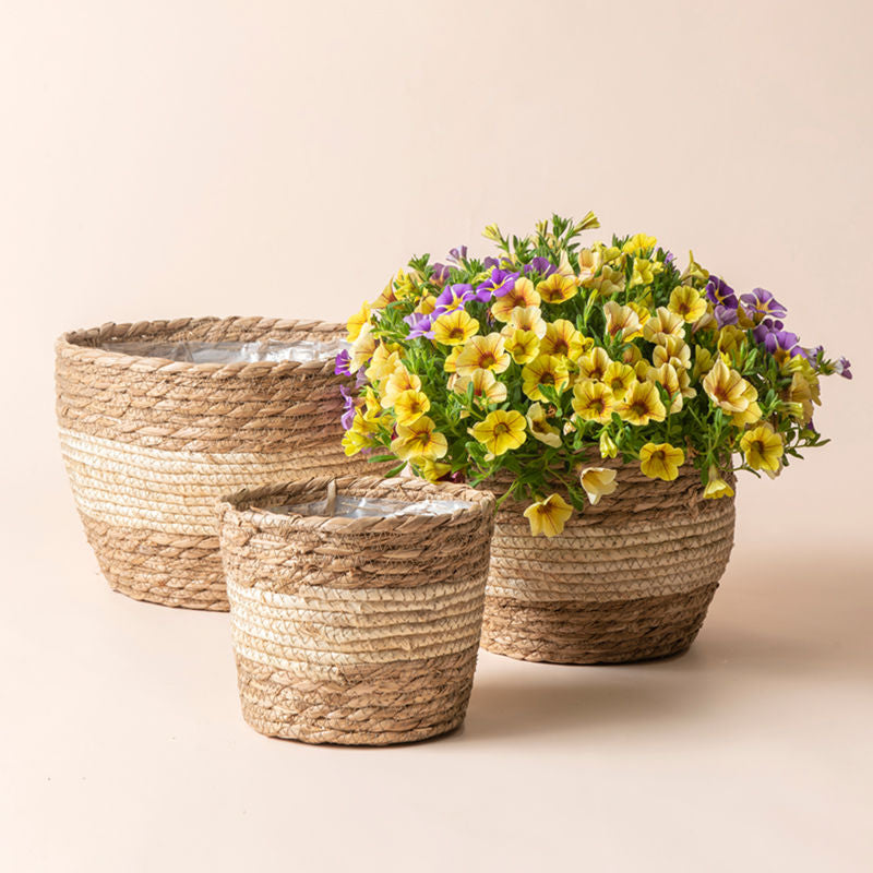 A set of three seagrass planters in beige and brown color, made from flexible fibers with a interior plastic coating.