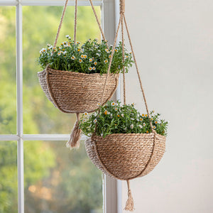 Two seagrass brown planters are hung in front of a window, each potted with lush greens.