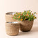 A set of three seagrass brown pots, one of which holds yellow flowers.