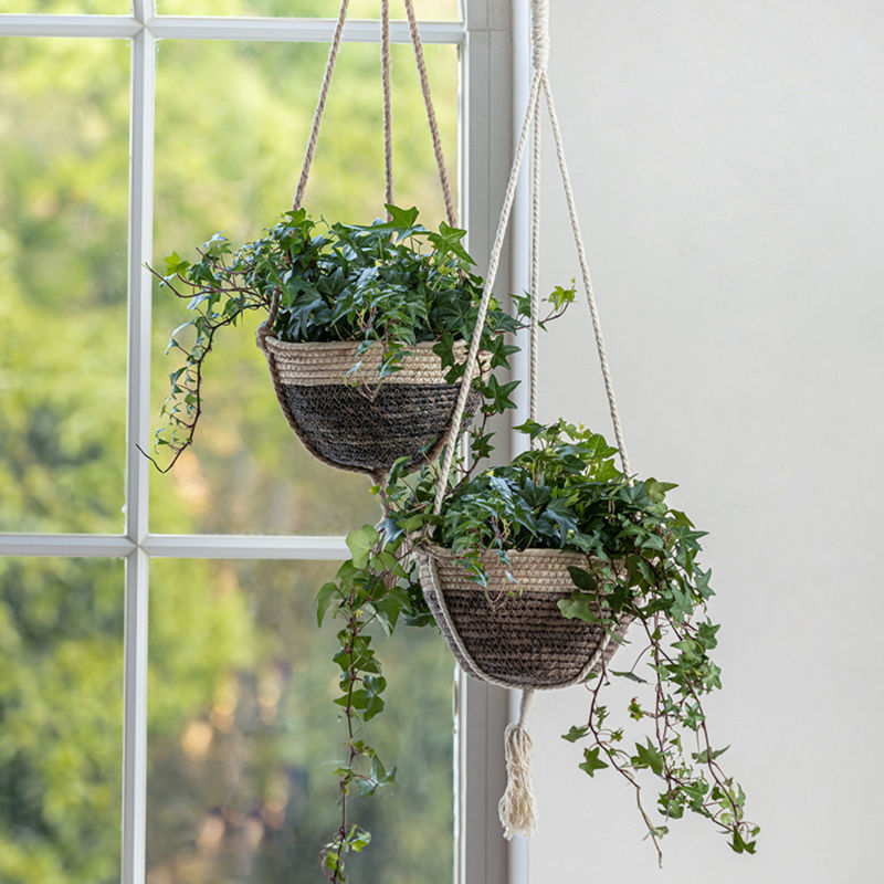 Two brown planters with flowers in them are hanging on the wall, in front of a window.