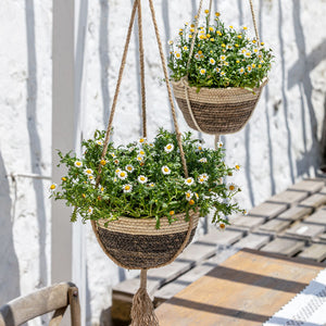 A set of two wall-hanging planters with white daisies in them are displayed outside, in front of a white wall.