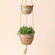 A set of two seagrass planters are hanging together with supporting from ropes. 