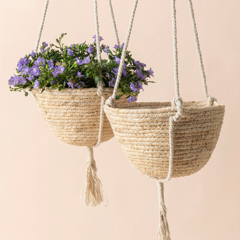A set of two seagrass vanilla ice pots is hung on the wall with support from ropes, one of which holds flowers.