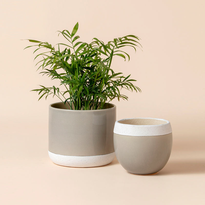 A set of two slate gray pots with white unglazed rim, made of premium ceramic.
