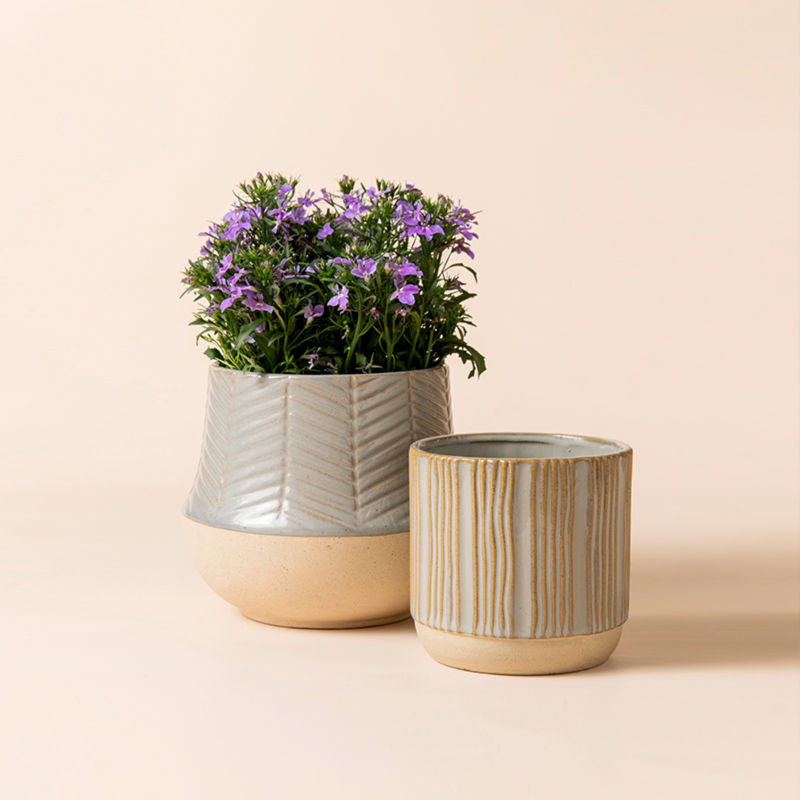 A set of two slate gray and beige planters, made of premium clay and exquisitely handcrafted.