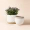 A set of two small white pots, made of premium ceramic and fully glazed.