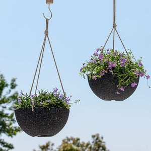 The two speckled black pots are hanging on the tree branch holding flowers with them.