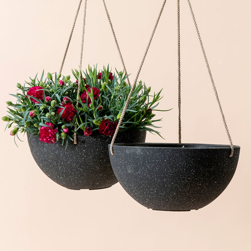 Each set contains two speckled black pots, one of which holds a bunch of wild roses.